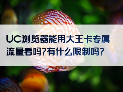 UC浏览器能用大王卡专属流量看吗？有什么限制吗？