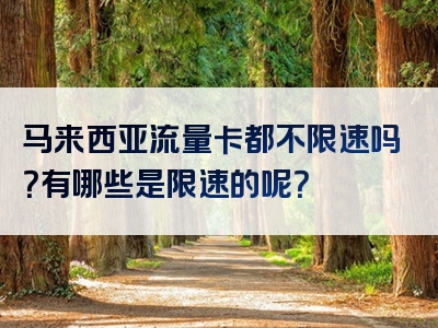 马来西亚流量卡都不限速吗？有哪些是限速的呢？