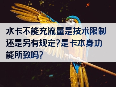 水卡不能充流量是技术限制还是另有规定？是卡本身功能所致吗？