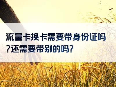 流量卡换卡需要带身份证吗？还需要带别的吗？