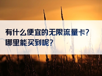有什么便宜的无限流量卡？哪里能买到呢？