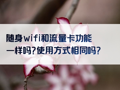 随身wifi和流量卡功能一样吗？使用方式相同吗？