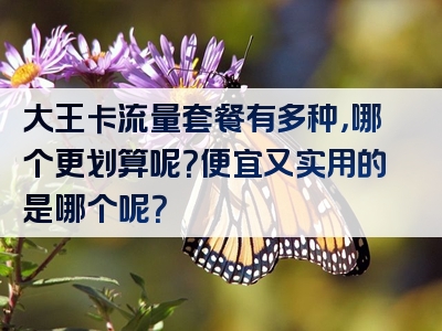 大王卡流量套餐有多种，哪个更划算呢？便宜又实用的是哪个呢？