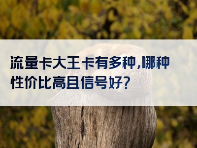 流量卡大王卡有多种，哪种性价比高且信号好？