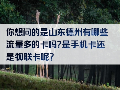 你想问的是山东德州有哪些流量多的卡吗？是手机卡还是物联卡呢？