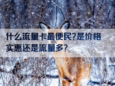 什么流量卡最便民？是价格实惠还是流量多？