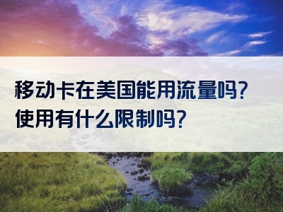 移动卡在美国能用流量吗？使用有什么限制吗？