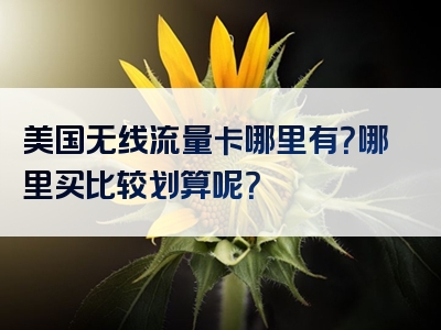 美国无线流量卡哪里有？哪里买比较划算呢？
