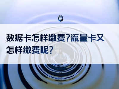 数据卡怎样缴费？流量卡又怎样缴费呢？