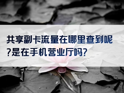 共享副卡流量在哪里查到呢？是在手机营业厅吗？