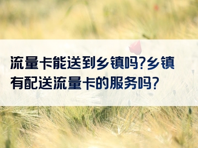流量卡能送到乡镇吗？乡镇有配送流量卡的服务吗？