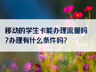 移动的学生卡能办理流量吗？办理有什么条件吗？