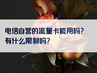电信自营的流量卡能用吗？有什么限制吗？