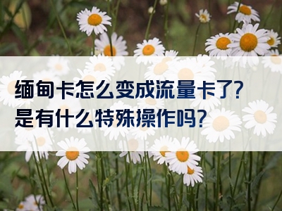 缅甸卡怎么变成流量卡了？是有什么特殊操作吗？