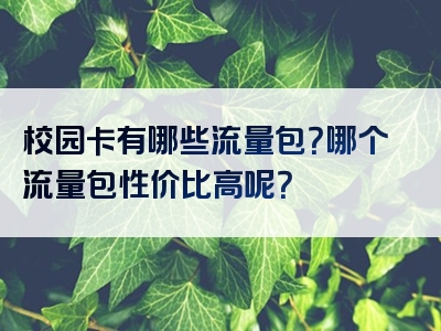 校园卡有哪些流量包？哪个流量包性价比高呢？