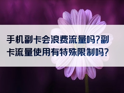 手机副卡会浪费流量吗？副卡流量使用有特殊限制吗？