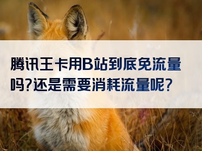 腾讯王卡用B站到底免流量吗？还是需要消耗流量呢？