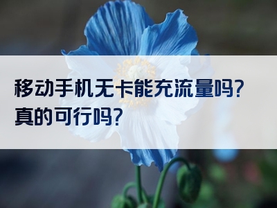 移动手机无卡能充流量吗？真的可行吗？