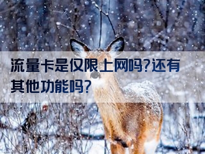 流量卡是仅限上网吗？还有其他功能吗？