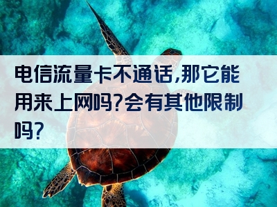 电信流量卡不通话，那它能用来上网吗？会有其他限制吗？