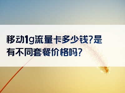 移动1g流量卡多少钱？是有不同套餐价格吗？