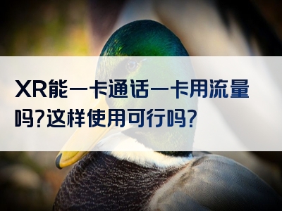XR能一卡通话一卡用流量吗？这样使用可行吗？