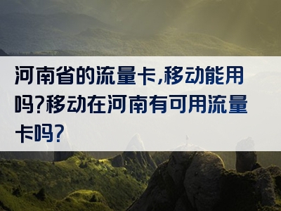 河南省的流量卡，移动能用吗？移动在河南有可用流量卡吗？