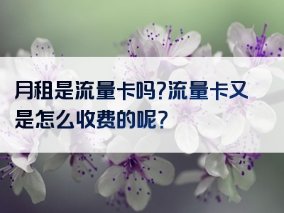 月租是流量卡吗？流量卡又是怎么收费的呢？