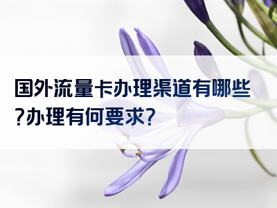 国外流量卡办理渠道有哪些？办理有何要求？