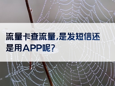流量卡查流量，是发短信还是用APP呢？