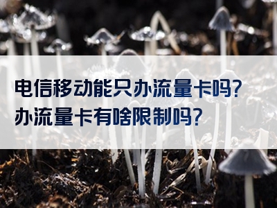 电信移动能只办流量卡吗？办流量卡有啥限制吗？