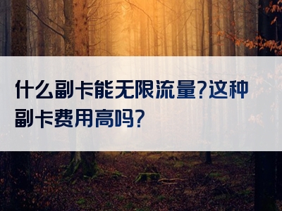 什么副卡能无限流量？这种副卡费用高吗？