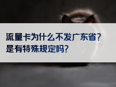 流量卡为什么不发广东省？是有特殊规定吗？