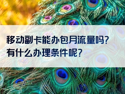 移动副卡能办包月流量吗？有什么办理条件呢？