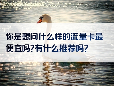 你是想问什么样的流量卡最便宜吗？有什么推荐吗？