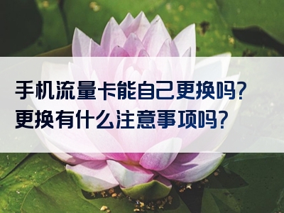 手机流量卡能自己更换吗？更换有什么注意事项吗？