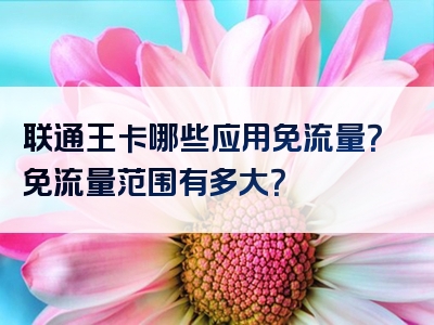 联通王卡哪些应用免流量？免流量范围有多大？