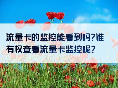 流量卡的监控能看到吗？谁有权查看流量卡监控呢？