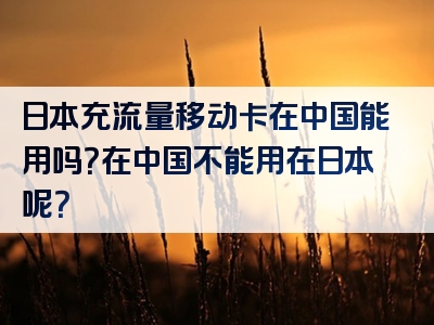 日本充流量移动卡在中国能用吗？在中国不能用在日本呢？