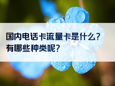 国内电话卡流量卡是什么？有哪些种类呢？