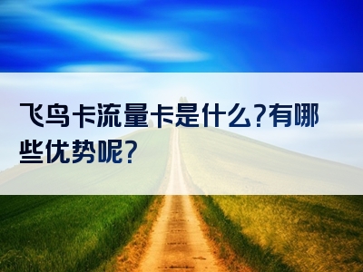 飞鸟卡流量卡是什么？有哪些优势呢？
