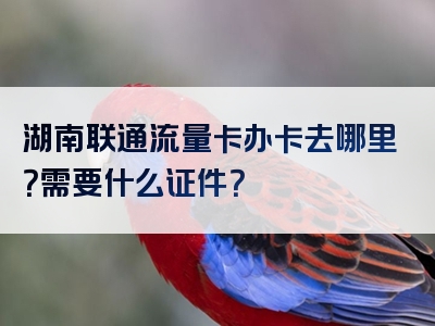 湖南联通流量卡办卡去哪里？需要什么证件？
