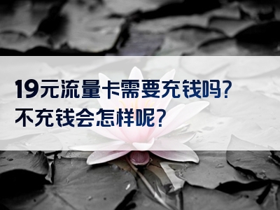 19元流量卡需要充钱吗？不充钱会怎样呢？