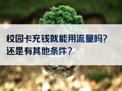 校园卡充钱就能用流量吗？还是有其他条件？