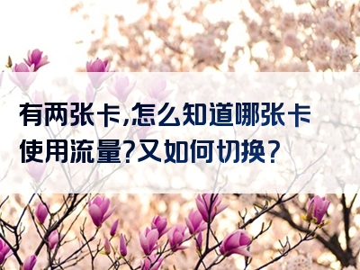 有两张卡，怎么知道哪张卡使用流量？又如何切换？
