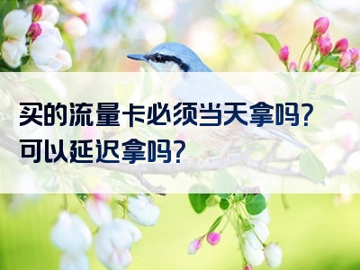 买的流量卡必须当天拿吗？可以延迟拿吗？