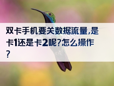 双卡手机要关数据流量，是卡1还是卡2呢？怎么操作？