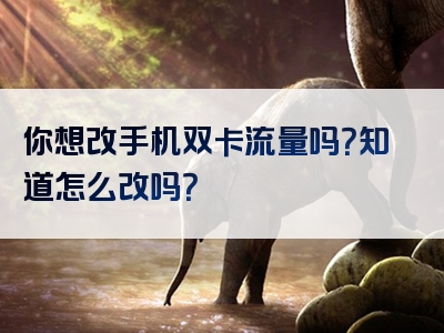 你想改手机双卡流量吗？知道怎么改吗？