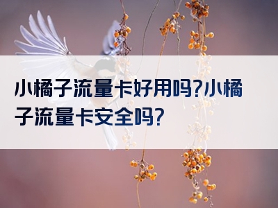 小橘子流量卡好用吗？小橘子流量卡安全吗？