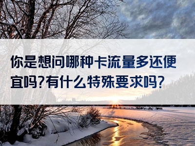 你是想问哪种卡流量多还便宜吗？有什么特殊要求吗？